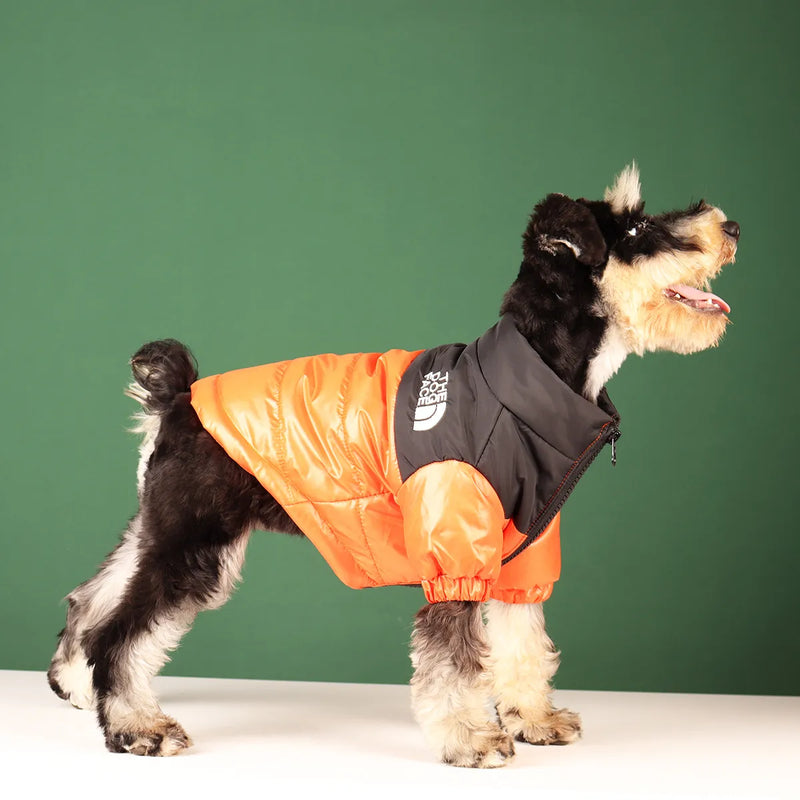 Jaqueta corta vento para cães