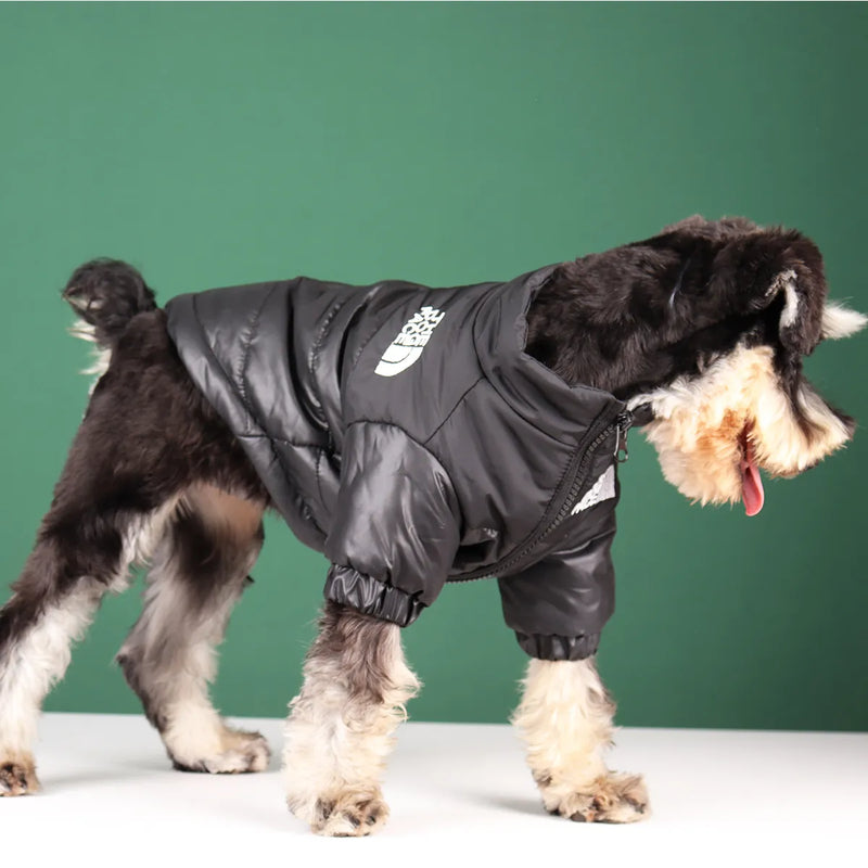 Jaqueta corta vento para cães