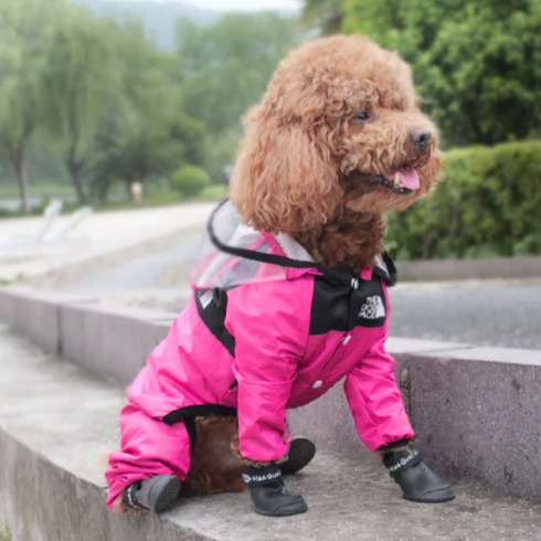 Super jaqueta e capa de chuva impermeável para cães
